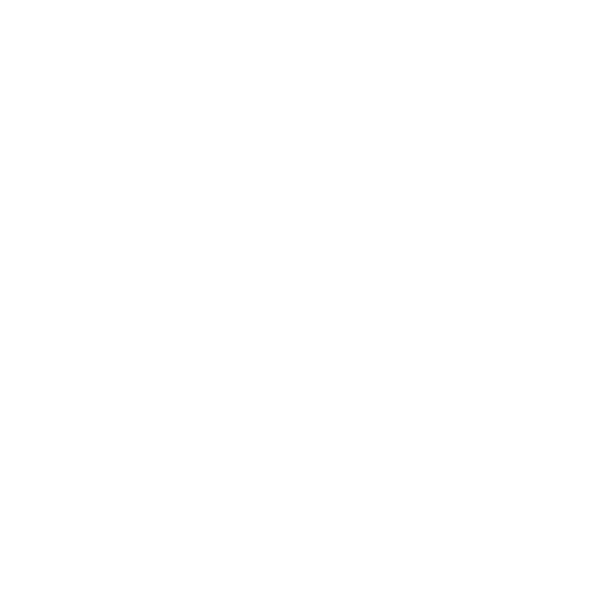 CRONOS Mobility — alquiler de autos en Santa Cruz, Bolivia